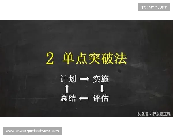 赛事组织逻辑正从单点突破转向系统提效 实现了直播资源的高效复用
